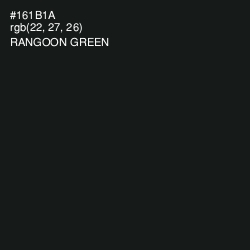 #161B1A - Rangoon Green Color Image